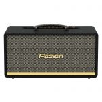 Loa Xách Tay Karaoke Paramax Pasion 2