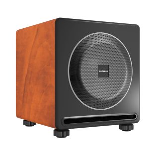 Loa Siêu Trầm điện Bass 30 Paramax Mk Sub30